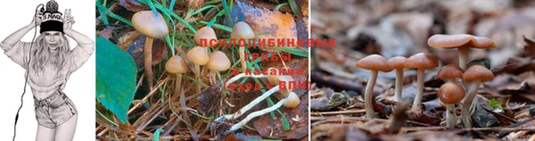 мефедрон VHQ Козловка
