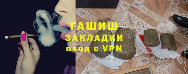 индика Козельск