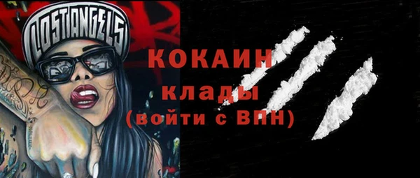 мдпв Кодинск