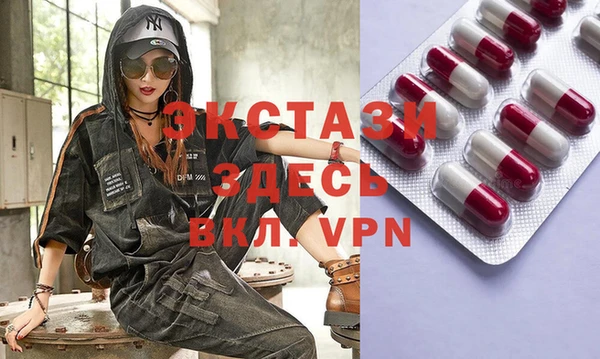 индика Козельск