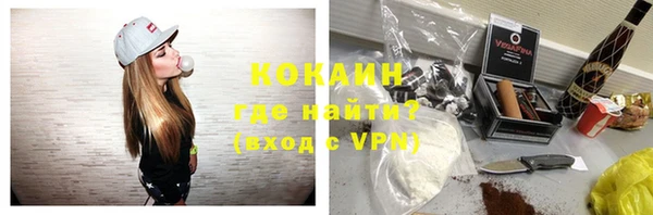 индика Козельск