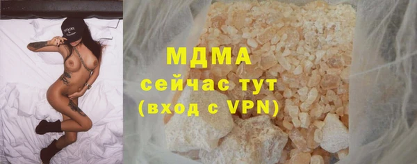 индика Козельск