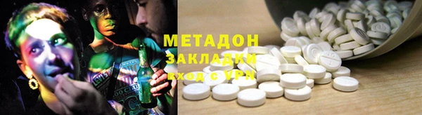 индика Козельск