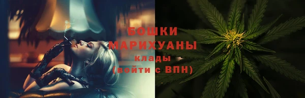 мдпв Кодинск