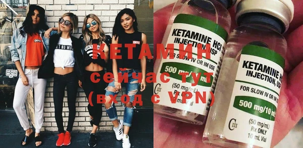 индика Козельск