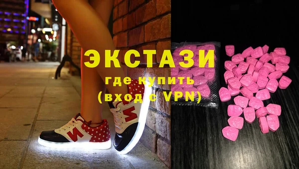 индика Козельск