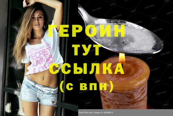 индика Козельск