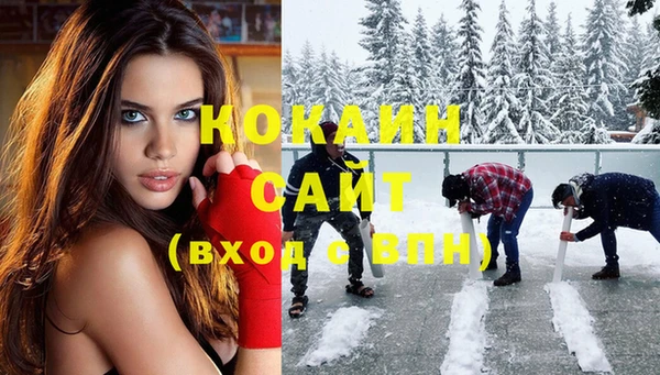 мдпв Кодинск