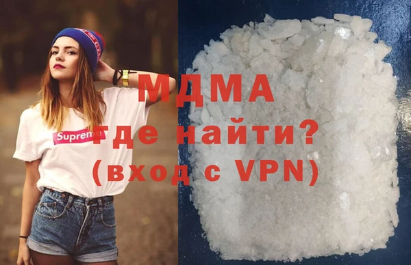 индика Козельск