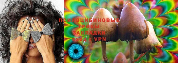 индика Козельск