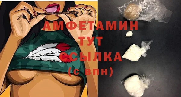 индика Козельск