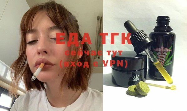 индика Козельск