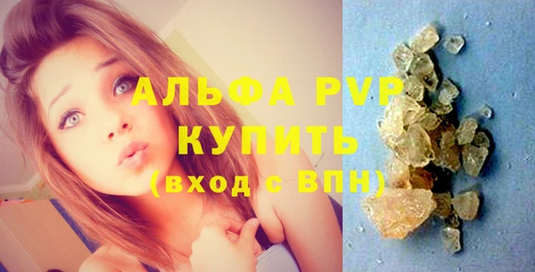 индика Козельск