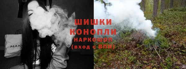 индика Козельск