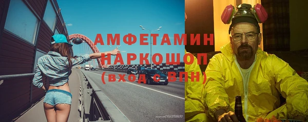 индика Козельск