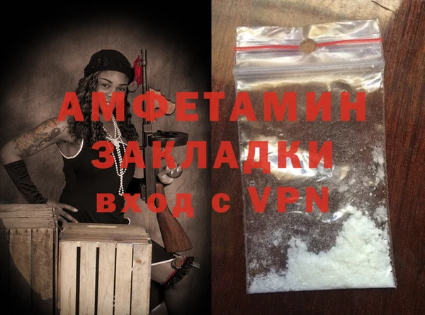 индика Козельск