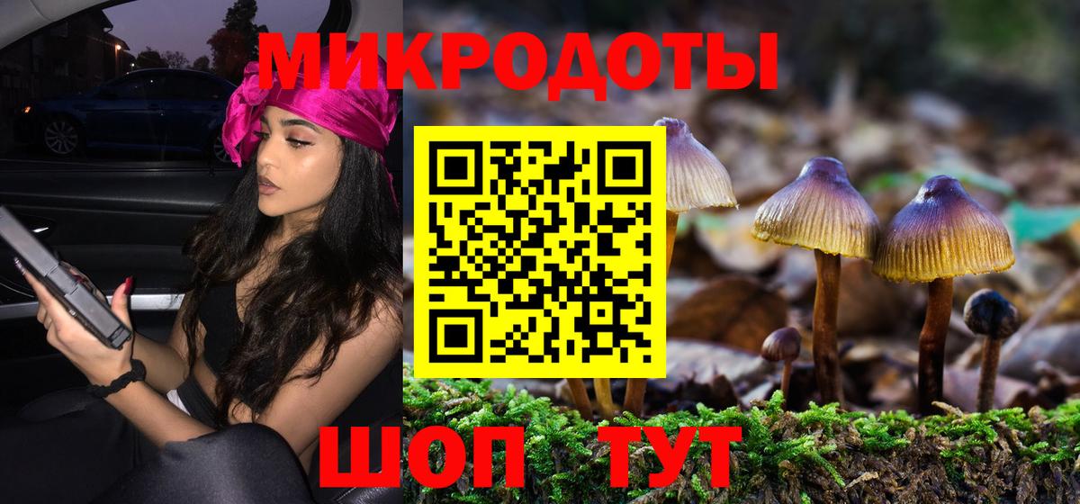 Славянск-на-Кубани  Галлюциногенные грибы GOLDEN TEACHER  Вход с VPN  Галлюциногенные грибы Magic Shrooms 